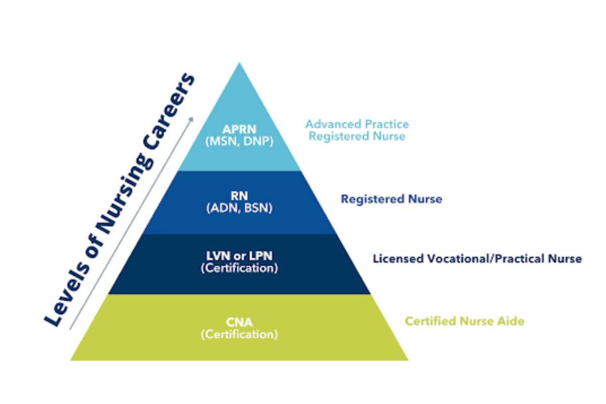 Levels of Nursing Explained IntelyCare