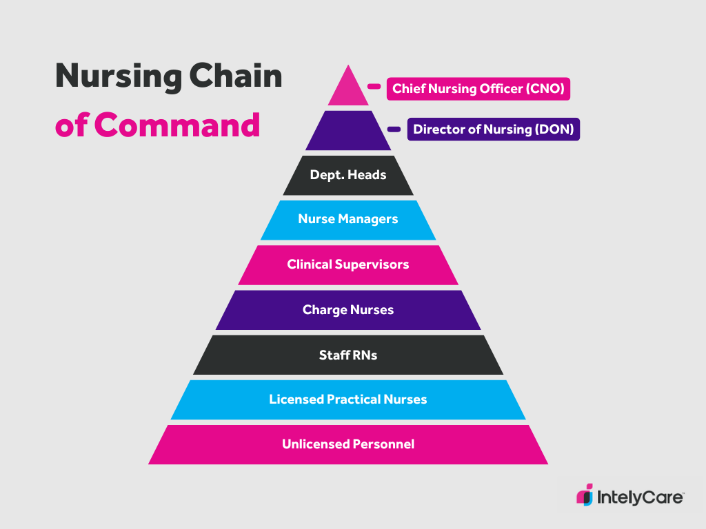 Nursing chain of command chart.