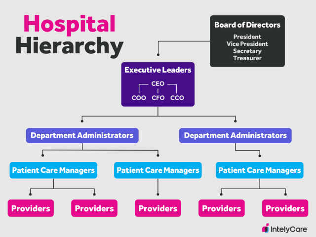 Organization chart showing a common hospital hierarchy structure