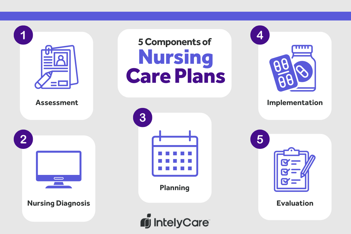 Graphic depicting the five components of nursing care plans.