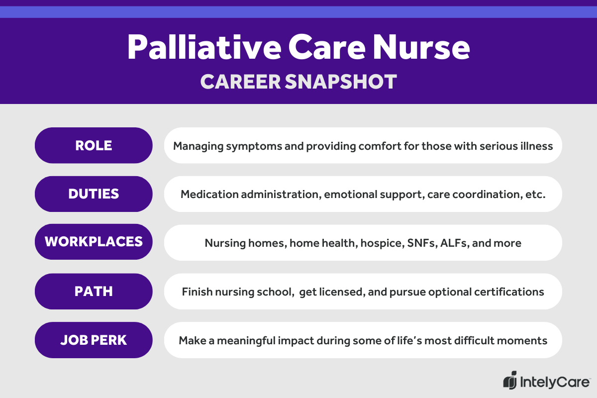 How to Become a Palliative Care Expert: Step-by-Step Guide