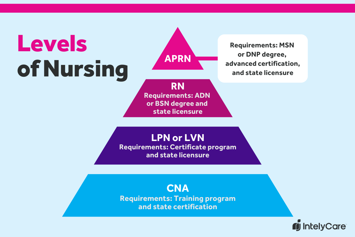 A graphic showing the four levels of nursing careers.