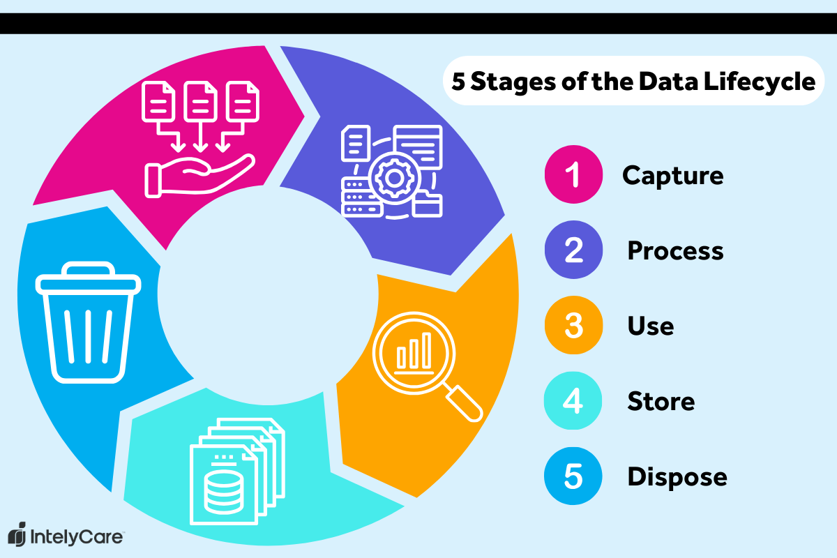 Graphic showing the 5 stages of the data lifecycle.